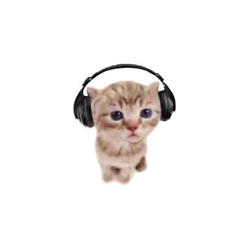 cat with headphones